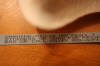 N95 Moldex 2200 Raleigh Durham Medical Face Mask